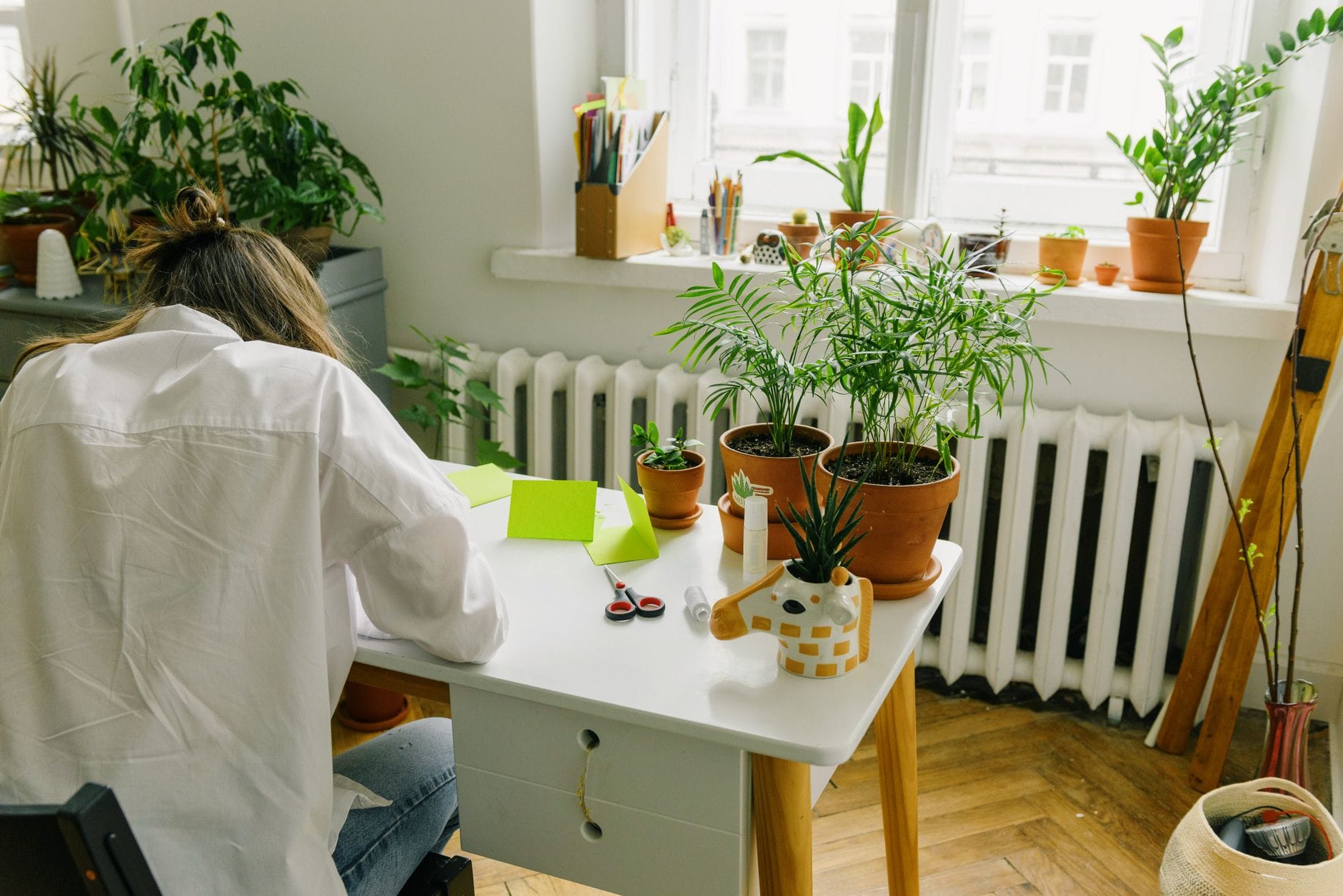 Kobieta pracuje przy biurku w domowym biurze z roślinami i dziennym światłem